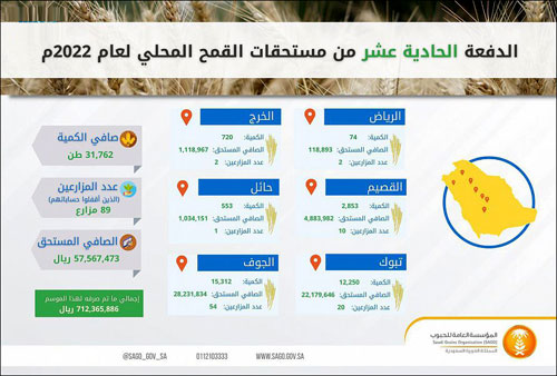 «الحبوب» تعلن صرف مستحقات الدفعة الحادية عشرة لمزارعي القمح المحلي 