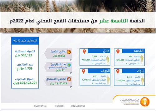 «الحبوب» تصرف مستحقات مزارعي القمح المحلي 