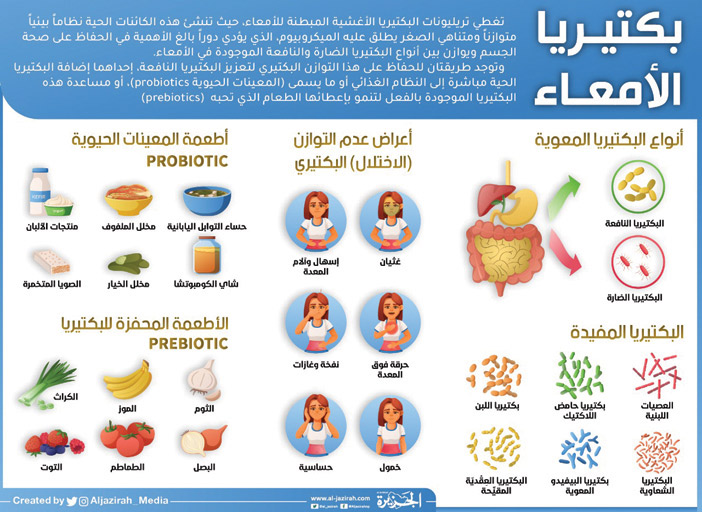 بكتيريا الأمعاء 