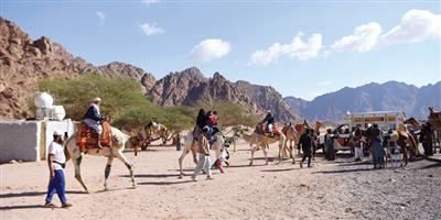 متنزه «البيضاء» البرّي يستقطب زائري المدينة بفصل الشتاء 