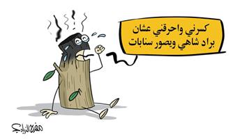 al-jazirah cartoon