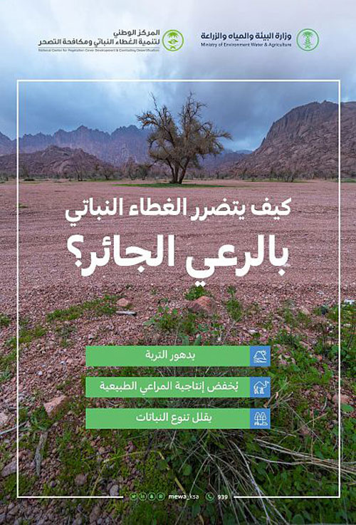 «البيئة» تحذِّر من الرعي الجائر 