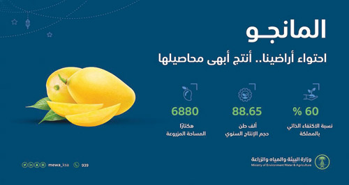 محققًا 60 % نسبة اكتفاء ذاتي.. البيئة: 