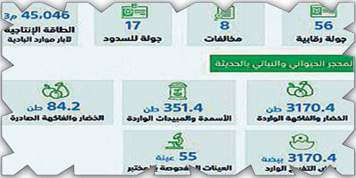 «بيئة الجوف»: ضبط 8 مخالفات حفر آبار 