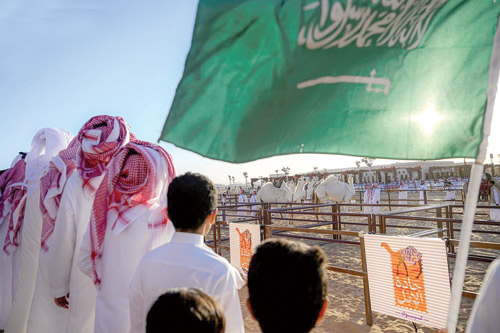 لجان التحكيم بـ«مهرجان جادة الإبل بتبوك» تسعى لتحقيق العدالة 