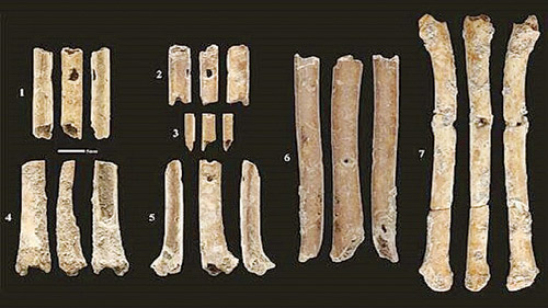 اكتشاف سبعة مزامير عمرها 12 ألف عام 