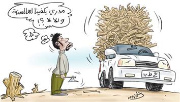 al-jazirah cartoon